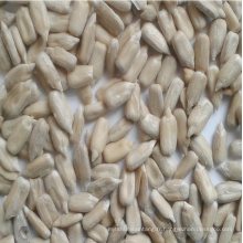 Noyau de graines de tournesol crues de niveau de bonbons chinois